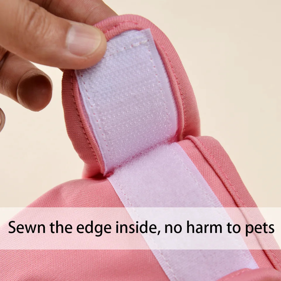 Dog diaper fit on small dog